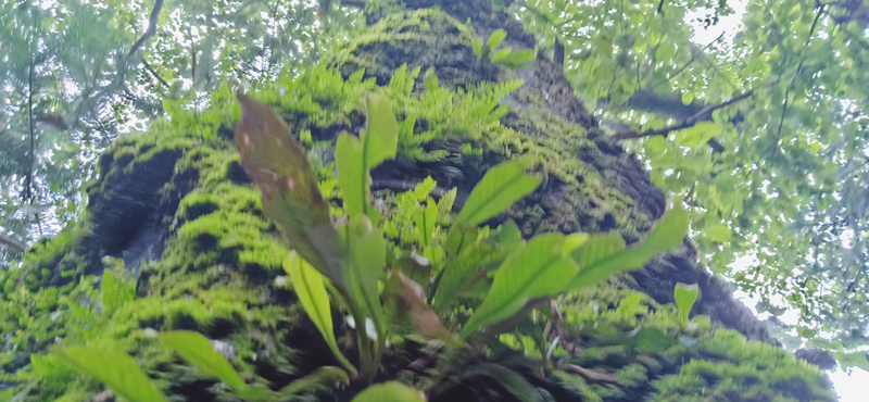 Preview Image 1