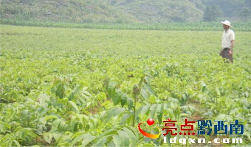 未標(biāo)題-1副本.jpg