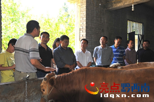 DxɵĒ͸ɲB(yng)ֳ(chng)M(jn)Ќ(zhun)}{(dio)Еr(sh)龰.jpg