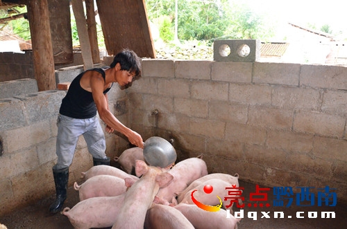 <a href=http://www.granfondonewengland.com/news/zhenfeng/ target=_blank class=infotextkey>ؑSh</a>(zhn)l(xing)B(yng)i¸DƬf.jpg