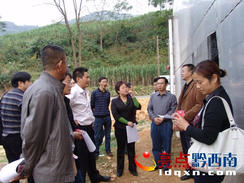 寧夏科技廳考察組實地考察花卉種植基地.JPG
