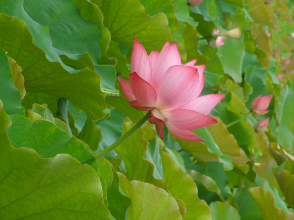 興義圖片