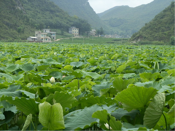 興義旅游攻略圖片