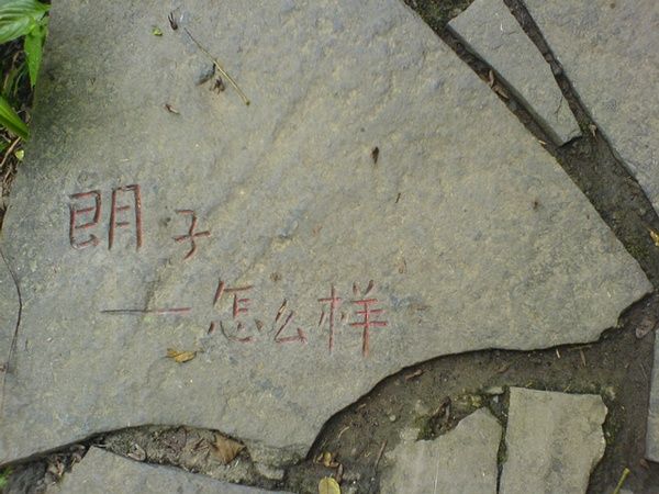 廊子