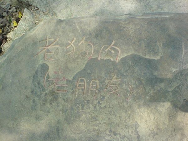 狗肉