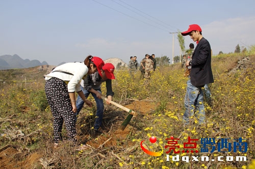 植樹現(xiàn)場一角。——朱明輝（攝）.JPG