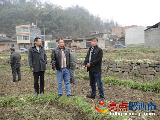 　　鄉(xiāng)黨委書記皮成伍詳細(xì)了解果圃基地建設(shè)情況.jpg