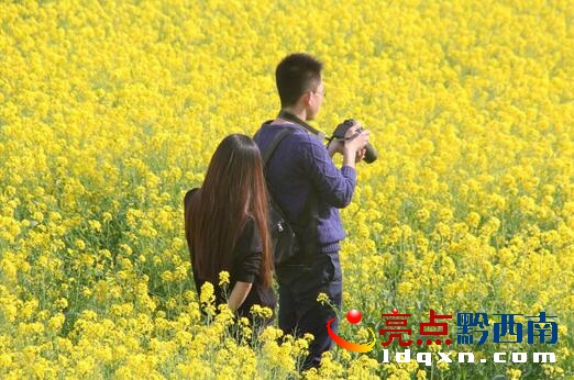 QQ截圖20160304104635.jpg