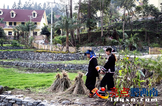 我與南網(wǎng)電工有個約會(盧關(guān)文攝 13885957702) (2).jpg