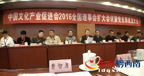 中國文化產(chǎn)業(yè)促進會2016全國理事會暨黨支部成立大會現(xiàn)場2.jpg