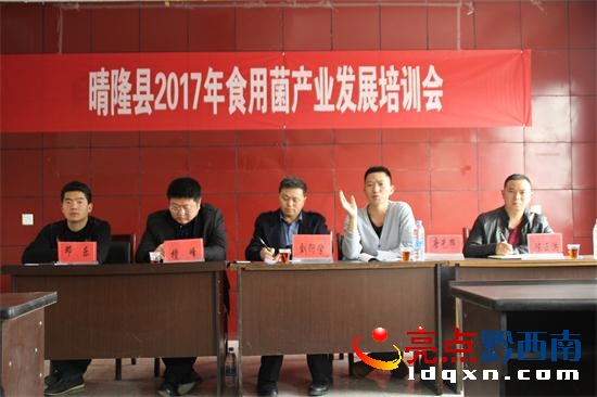 唐光輝講解食用菌栽培技術.JPG
