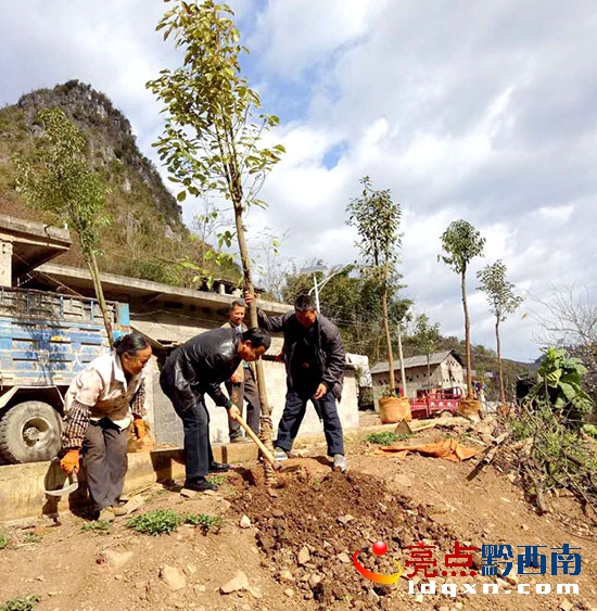 植樹現(xiàn)場(chǎng).jpg