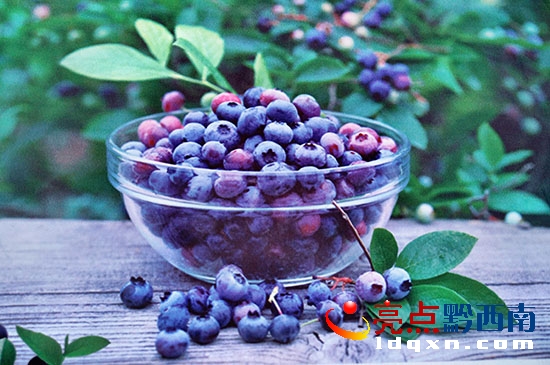 {ݮ (1).jpg