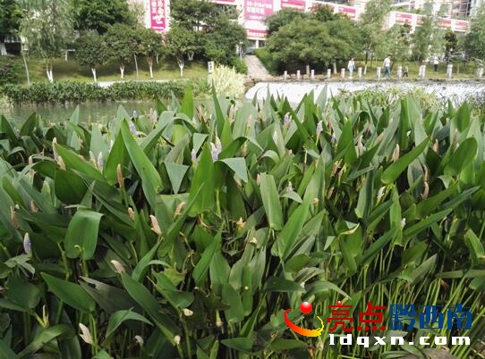 QQ截圖20170623105810.jpg