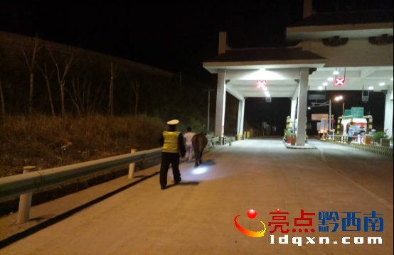 騾子“不聽(tīng)使喚”闖入高速 黔西南高速交警及時(shí)處置820.png