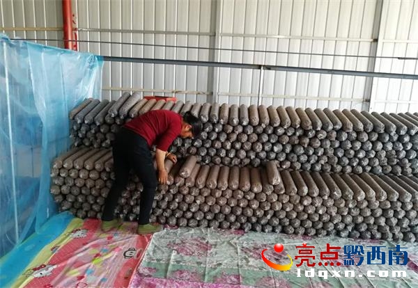 加工好的食用菌菌棒.jpg
