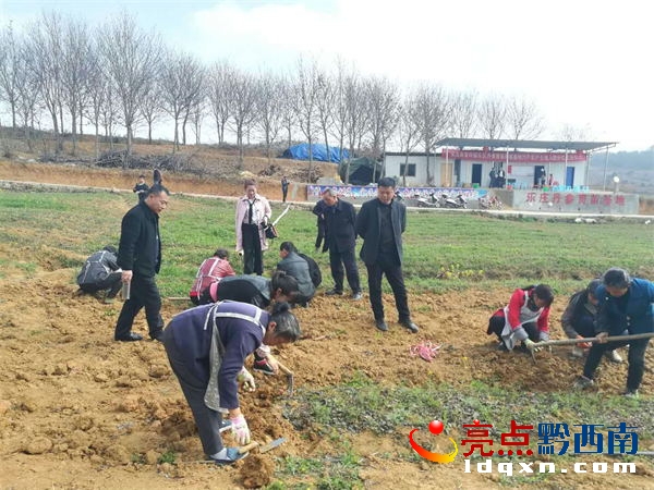 基地工人正在取苗_看圖王.png