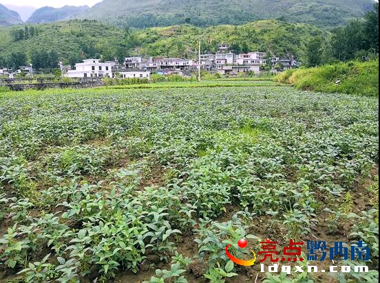 微信圖片_20180529091845.jpg